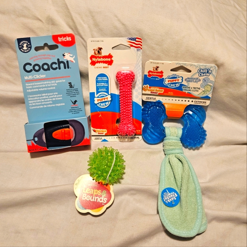 4 pc Puppy Toy Bundle